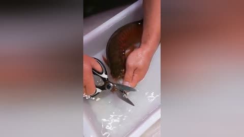 一、龍魚兜嘴手術所需工具的購買方式和注意事項（衛生和消毒,） 一、龍魚兜嘴手術所需工具的購買方式和注意事項（衛生和消毒,） 龍魚百科 第5張