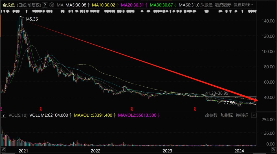 林園對金龍魚的投資有多少 林園對金龍魚的投資有多少 龍魚百科 第2張