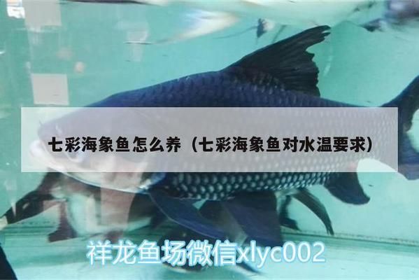 海象鱼繁殖环境的温度控制（海象鱼繁殖环境的水温控制）