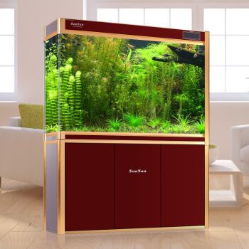 龍魚魚缸品牌十大排名圖片