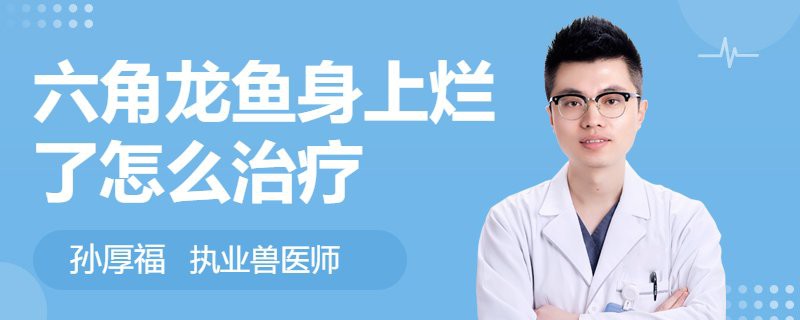 六角恐龍魚腳爛了怎么辦