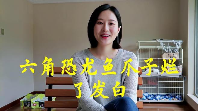 六角恐龍魚腳爛了怎么辦