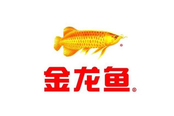 金龍魚2019年營業額多少（金龍魚2019年具體營業額數據在提供的搜索結果中沒有直接提及）