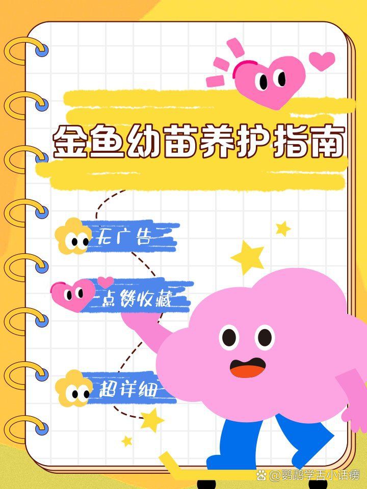 辣椒金魚龍紅魚苗最忌三種食物