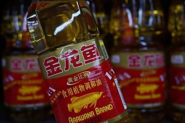 金龍魚2020目標價（金龍魚2020年目標價的分析）