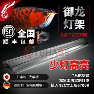 龍魚工坊旗艦店：關于“龍魚工坊旗艦店”的信息搜索結果中了解到一些信息