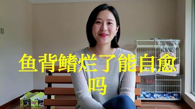 龍魚(yú)鰭爛了可以自愈嗎？
