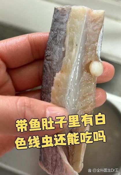 魚肚子里寄生蟲圖片