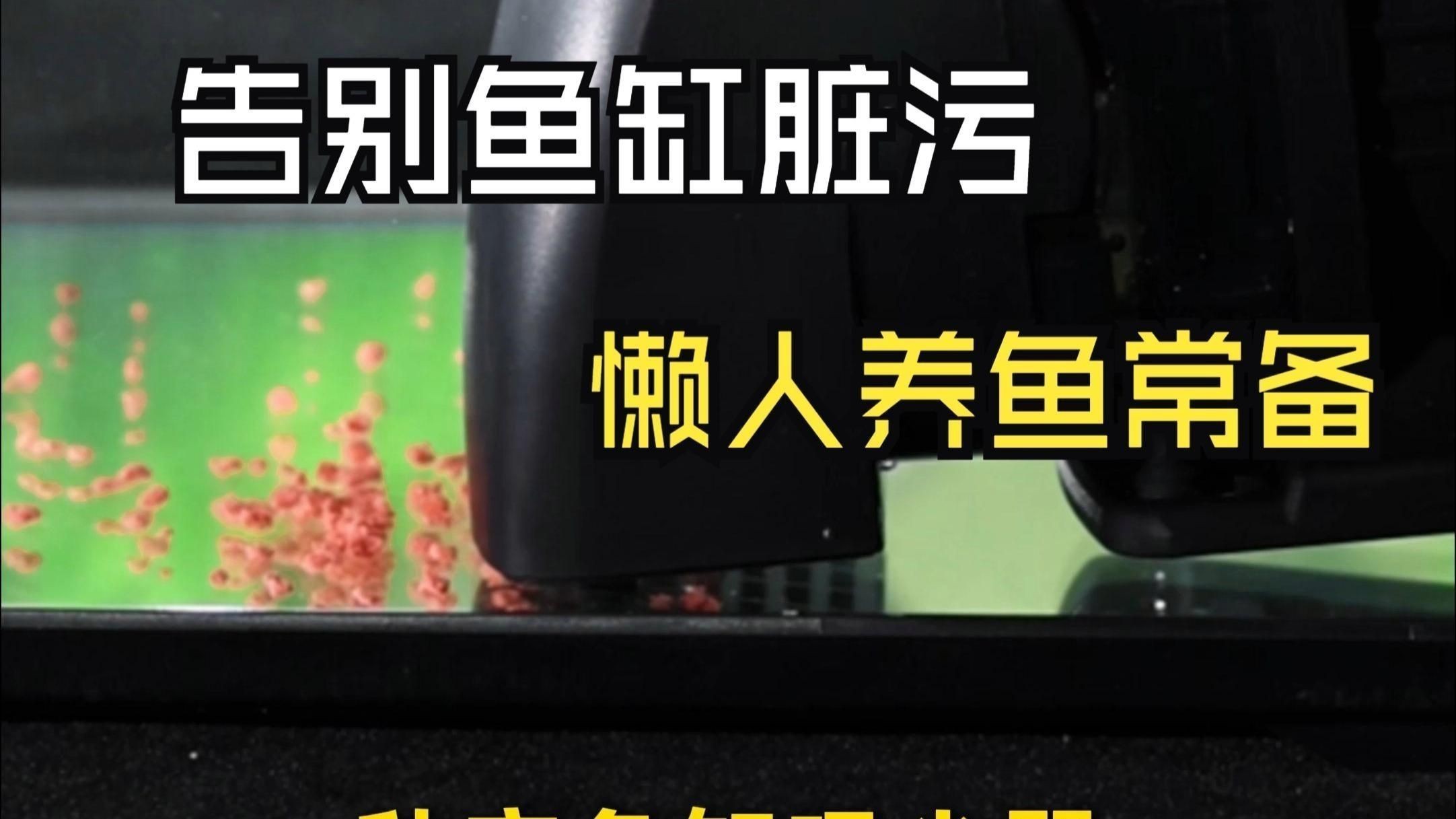 老魚匠水泵質量怎么樣 龍魚百科 第3張 老魚匠水泵質量怎么樣 老魚匠水泵質量怎么樣 龍魚百科 第3張