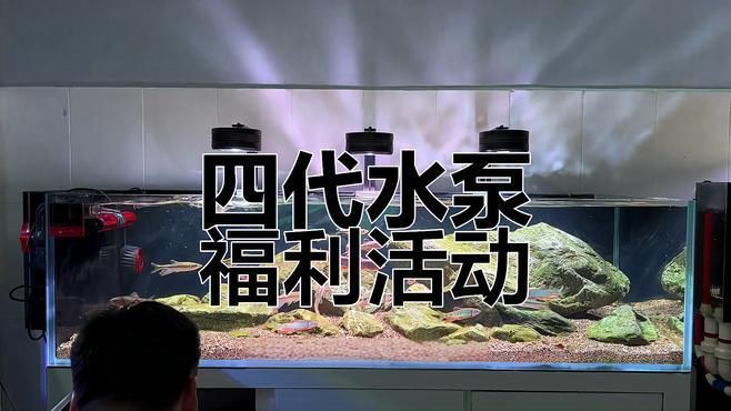 老魚匠水泵質量怎么樣 龍魚百科 第4張 老魚匠水泵質量怎么樣 老魚匠水泵質量怎么樣 龍魚百科 第4張