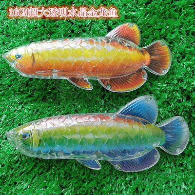 金龍魚簡筆畫畫法：金龍魚簡筆畫畫法步驟