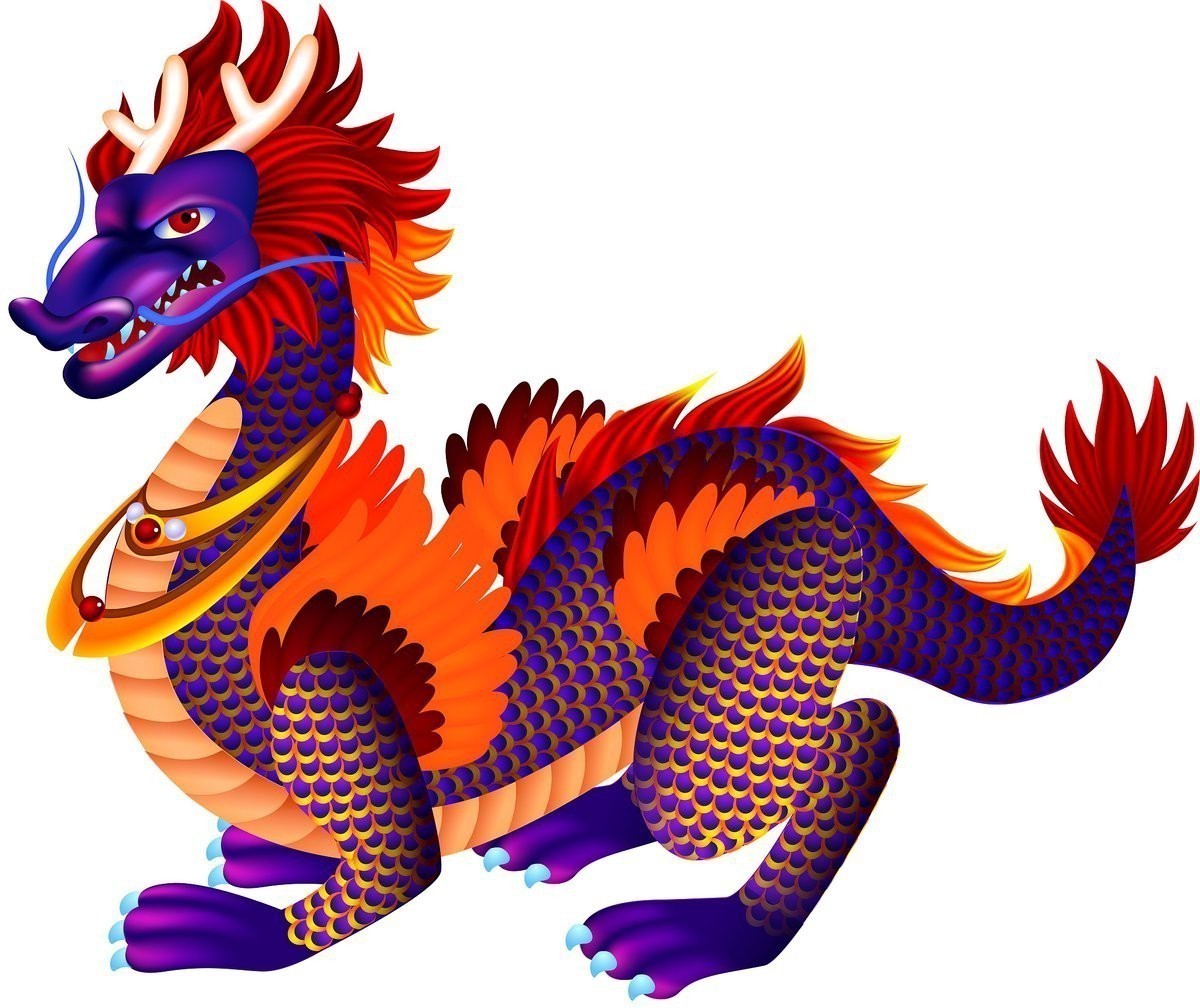 紅龍圖片有哪些不同風(fēng)格？