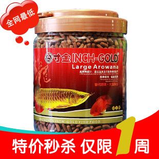 龍魚的食物選擇：關于龍魚食物的一些詳細信息