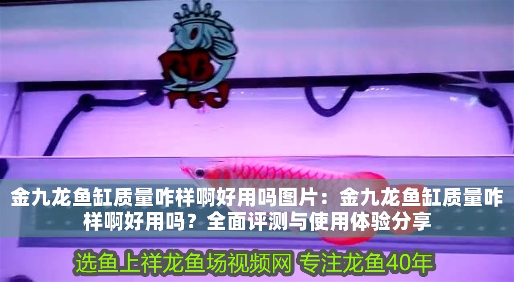 金九龍魚缸質量咋樣啊好用嗎圖片：金九龍魚缸質量咋樣啊好用嗎？全面評測與使用體驗分享
