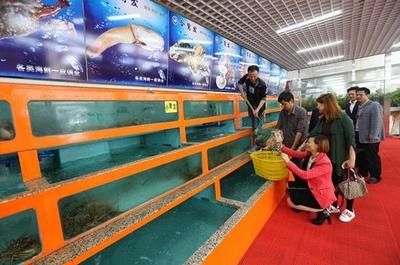 上海魚缸批發市場，上海哪里有魚缸批發市場