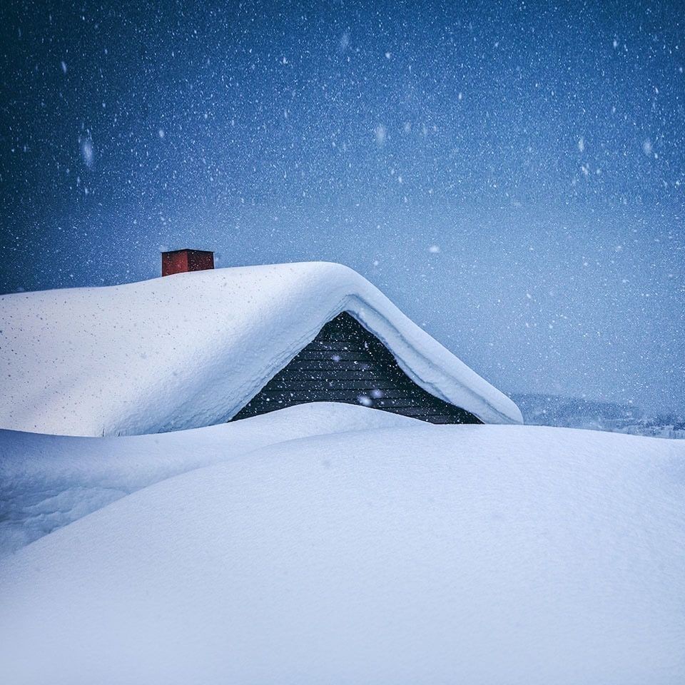 金錢狗頭魚為什么是臟魚