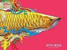 金龍魚(yú)卡通圖片