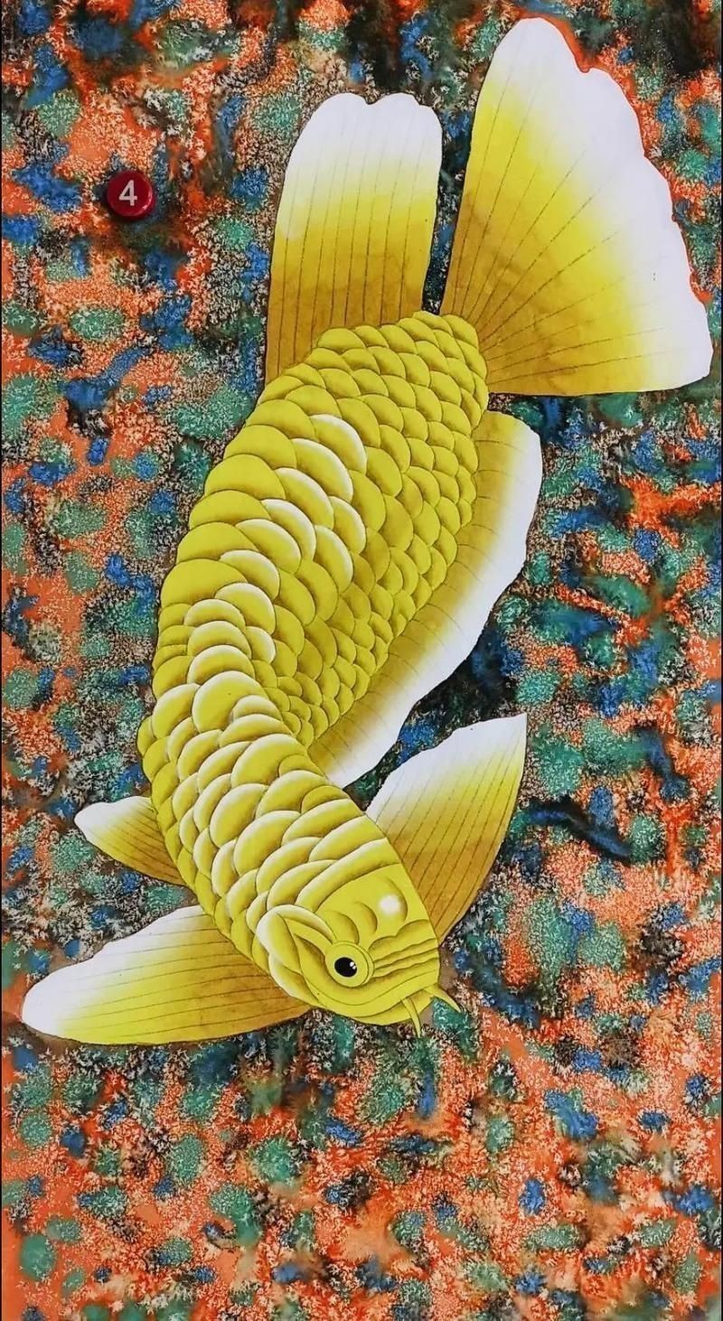 金龍魚(yú)卡通圖片