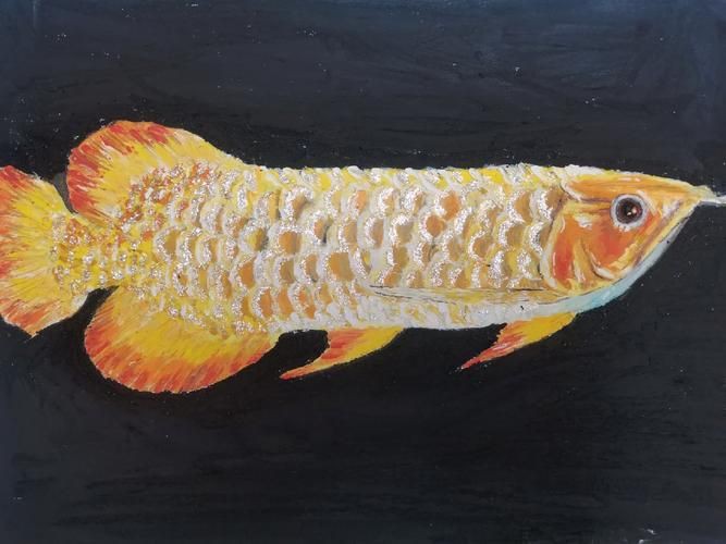 金龍魚(yú)卡通圖片