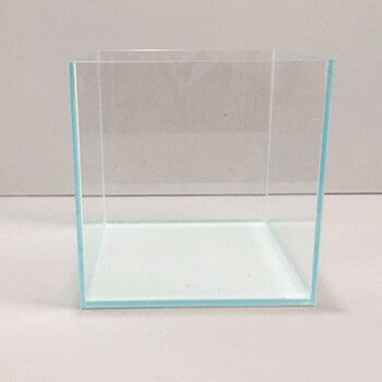 Seispon魚缸（seispon魚缸怎么樣）