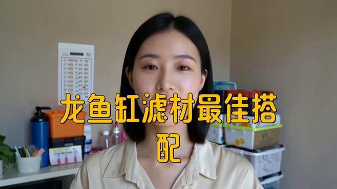 混養龍魚需要多大的過濾系統？ 混養龍魚需要多大的過濾系統？ 龍魚百科 第2張