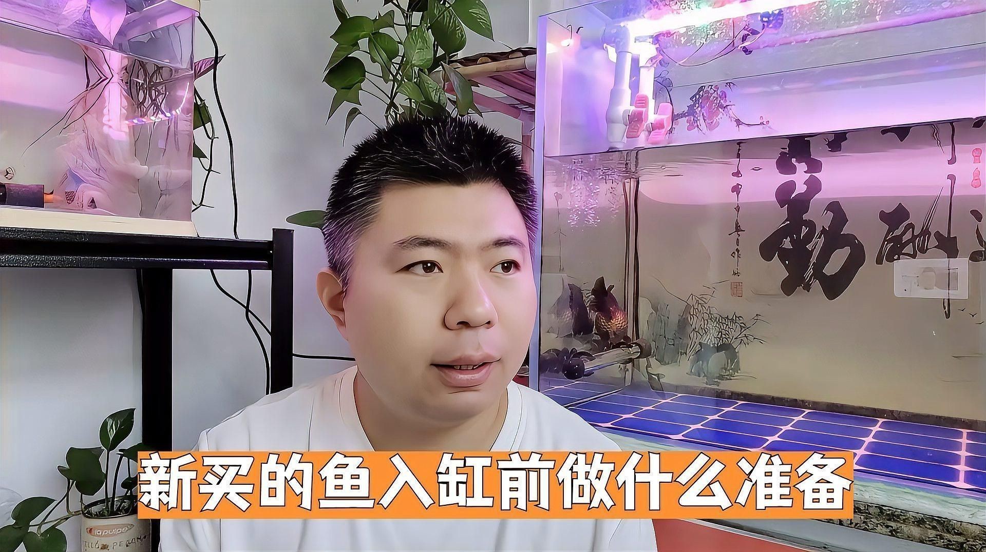 購買觀賞魚注意事項(xiàng)