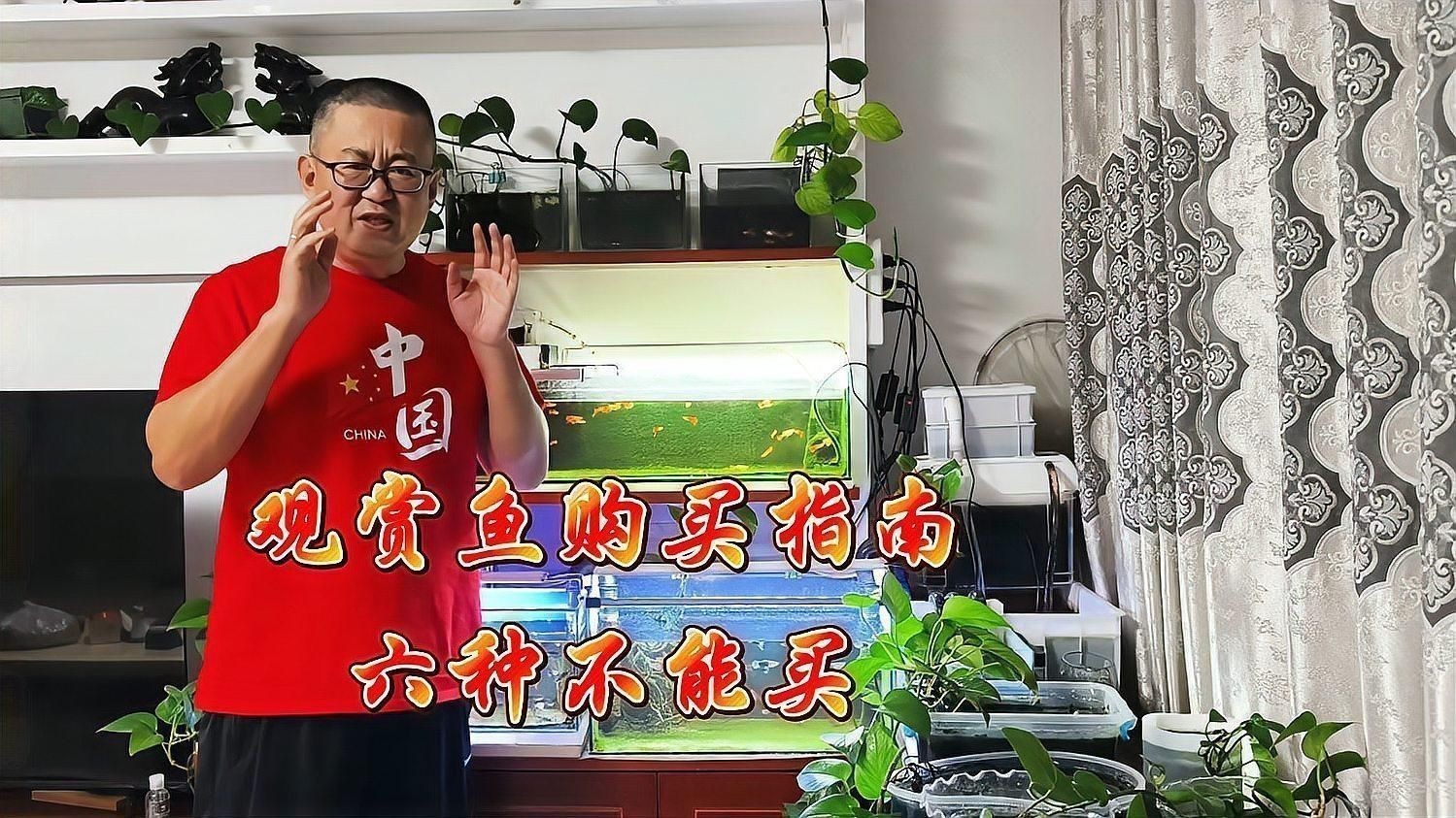 購買觀賞魚注意事項