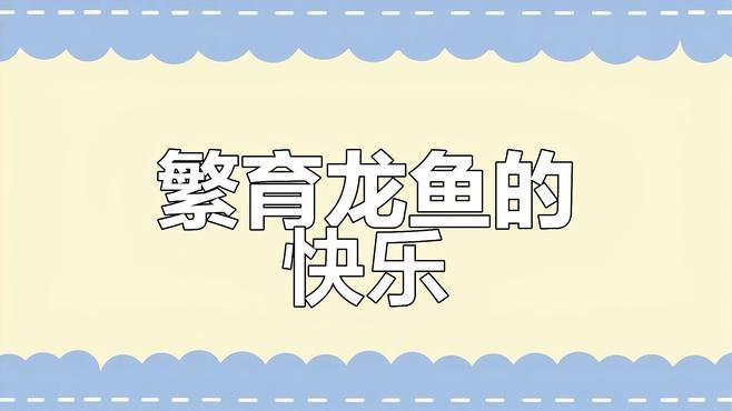 深海龍魚繁殖需要哪些條件？