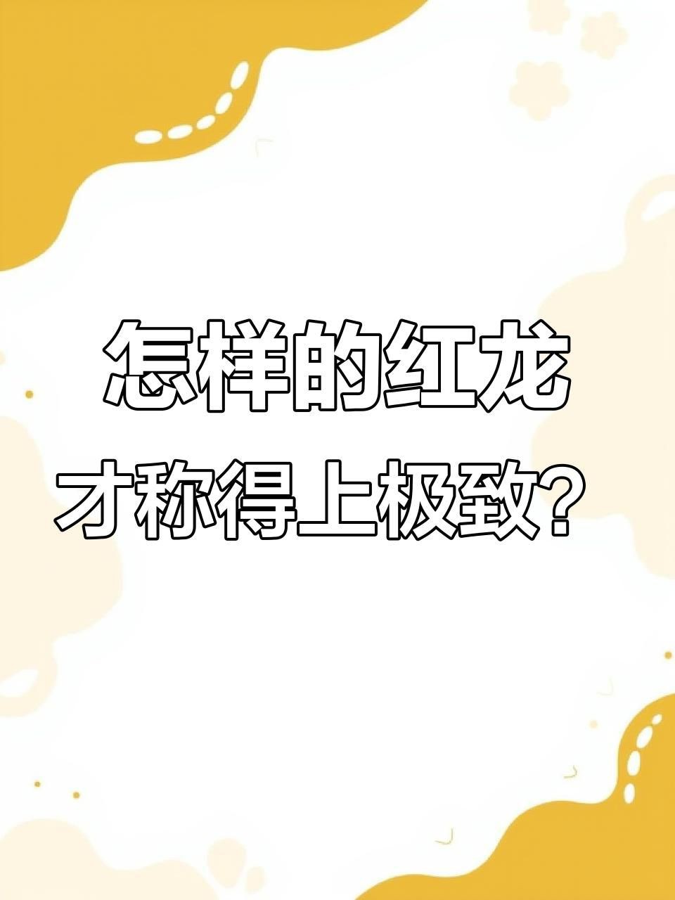 如何判斷紅龍魚品質的好壞？