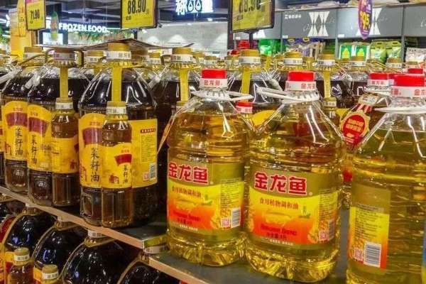 金龍魚銷售額超茅臺怎么辦（金龍魚品牌建設新舉措，） 金龍魚銷售額超茅臺怎么辦（金龍魚品牌建設新舉措，） 龍魚百科 第5張