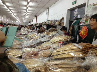 廣東龍魚批發(fā)市場(chǎng)：廣東龍魚批發(fā)市場(chǎng)主要集中在廣州市和其他一些城市 廣東龍魚批發(fā)市場(chǎng)：廣東龍魚批發(fā)市場(chǎng)主要集中在廣州市和其他一些城市 龍魚百科 第2張