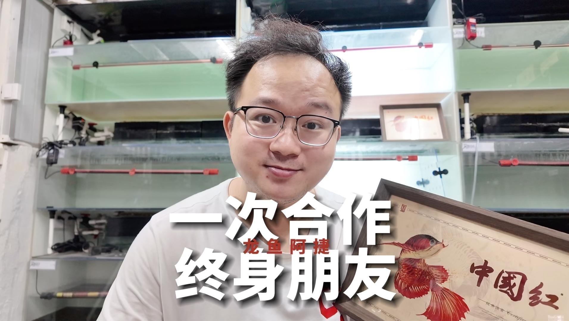給我一些紅龍魚苗的照片作為參考