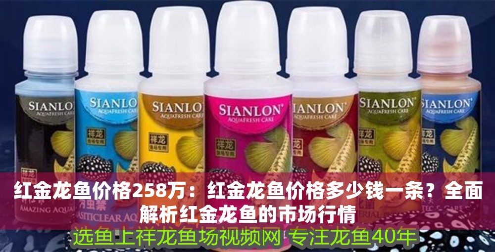 紅金龍魚價格258萬：紅金龍魚價格多少錢一條？全面解析紅金龍魚的市場行情