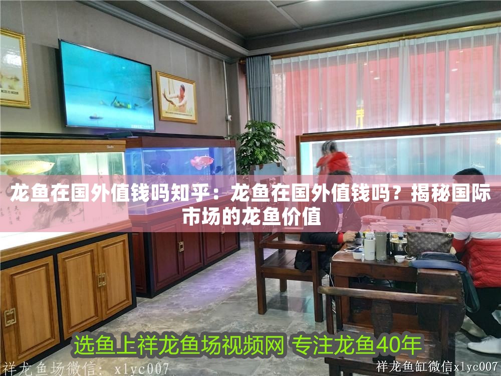 龍魚在國(guó)外值錢嗎知乎：龍魚在國(guó)外值錢嗎？揭秘國(guó)際市場(chǎng)的龍魚價(jià)值