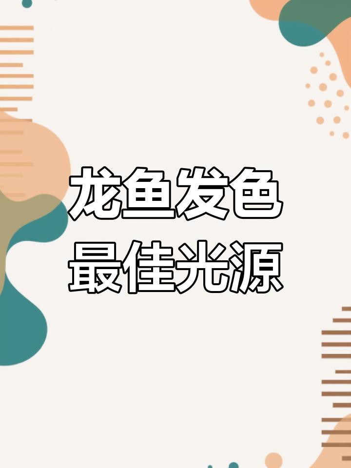 過背金龍燈光的顏色選擇