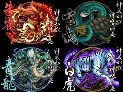 龍魚混養(yǎng)四大神獸好嗎（龍魚混養(yǎng)四大神獸有什么優(yōu)點(diǎn)？） 龍魚混養(yǎng)四大神獸好嗎（龍魚混養(yǎng)四大神獸有什么優(yōu)點(diǎn)？） 龍魚百科 第2張