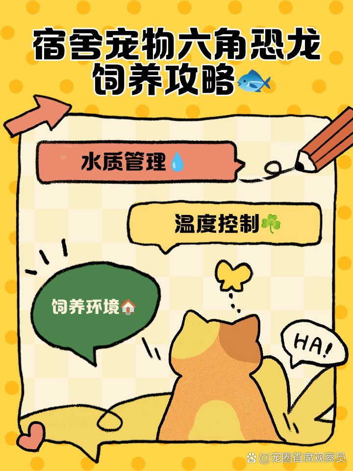 六角龍打氧需要多大的氣量？