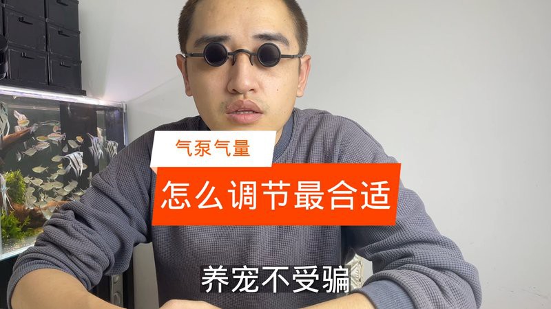 六角龍打氧需要多大的氣量？