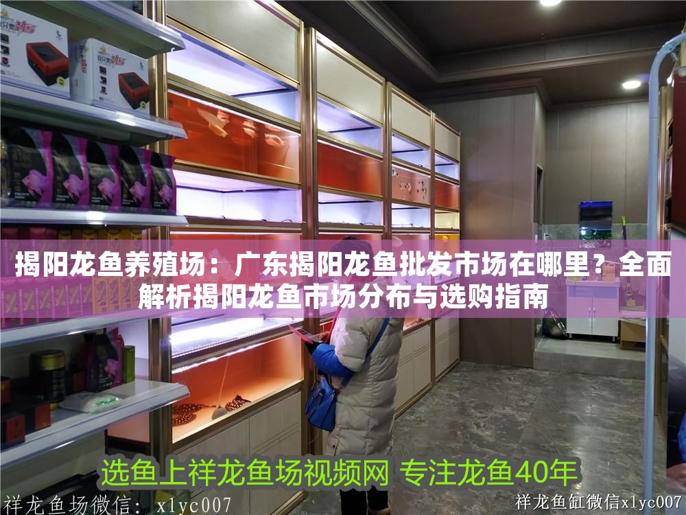 揭陽龍魚養殖場：廣東揭陽龍魚批發市場在哪里？全面解析揭陽龍魚市場分布與選購指南
