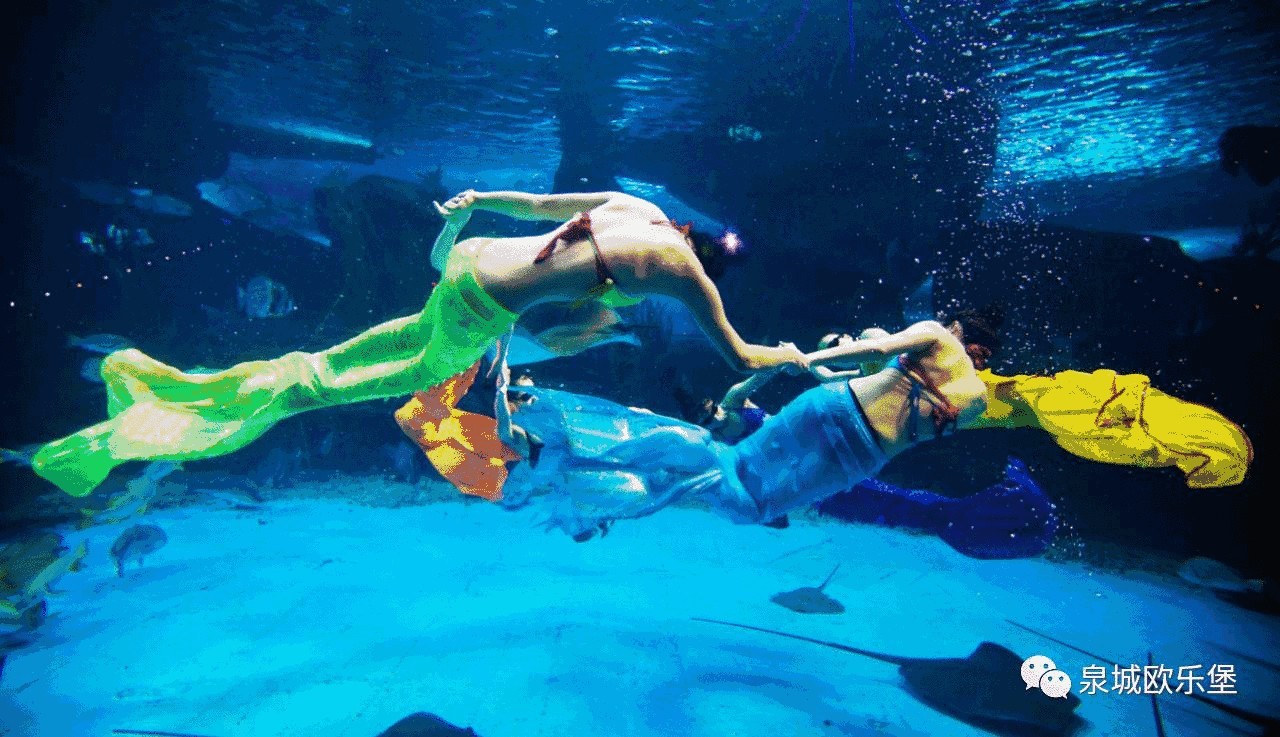 3D水族館動態(tài)壁紙2018詳情，高清逼真的海底世界呈現 3D水族館動態(tài)壁紙2018詳情，高清逼真的海底世界呈現 水族館百科（水族館加盟） 第4張