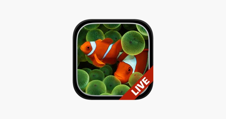 3D水族館動態(tài)壁紙2018詳情，高清逼真的海底世界呈現 3D水族館動態(tài)壁紙2018詳情，高清逼真的海底世界呈現 水族館百科（水族館加盟） 第1張