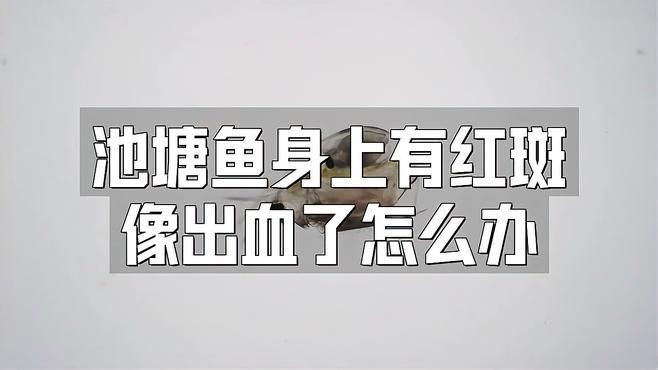 魚(yú)身體滲血發(fā)紅怎么治療，《魚(yú)身體滲血發(fā)紅的治療》