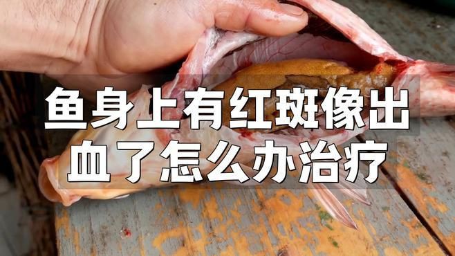 魚(yú)身體滲血發(fā)紅怎么治療，《魚(yú)身體滲血發(fā)紅的治療》