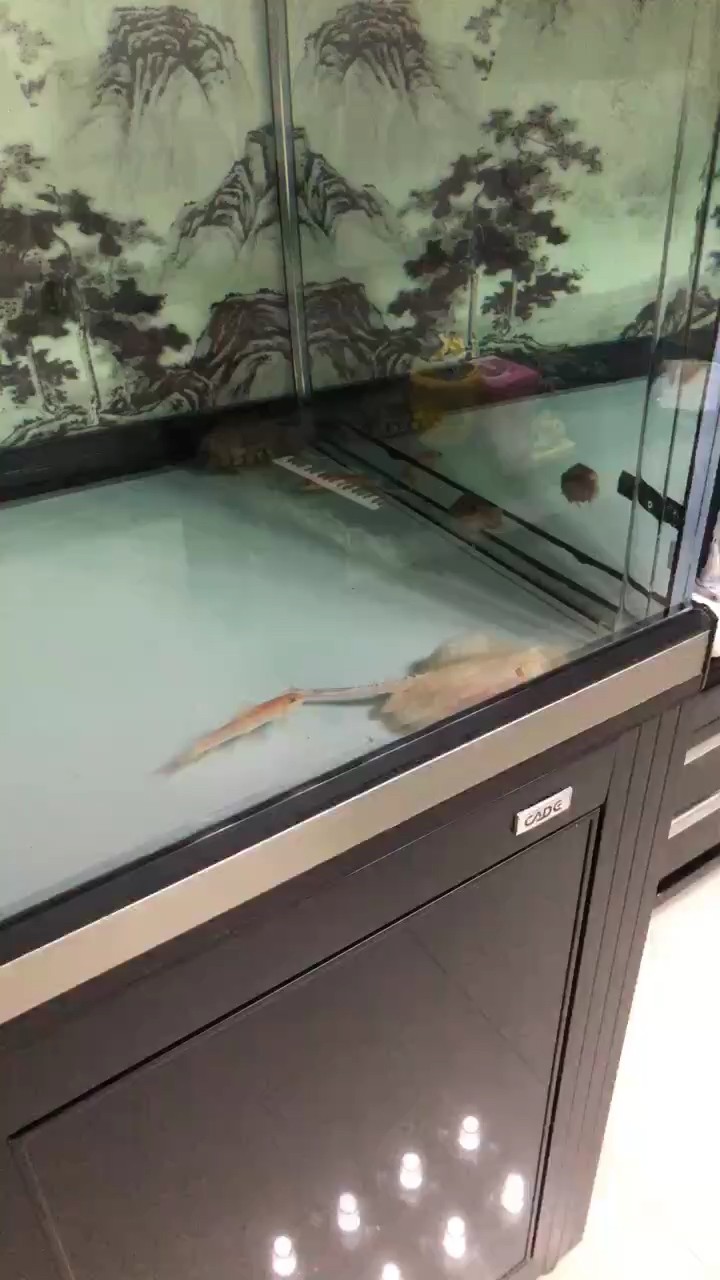 龍年新春至，福滿人間暖，共