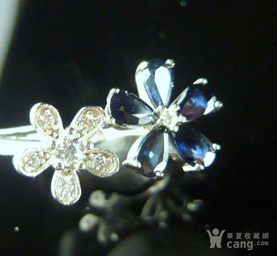 7s魚缸屬于什么檔次的及七秒魚缸官方旗艦店7s魚缸的特點