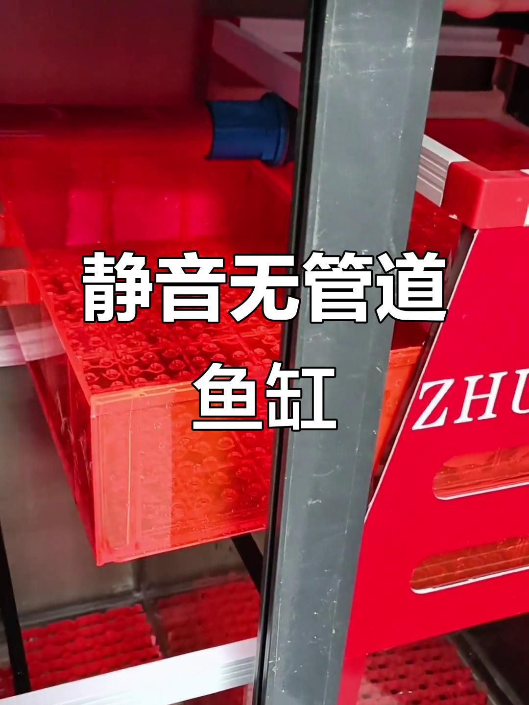 無管件魚缸最建議買嗎，無管件魚缸是否最建議購買