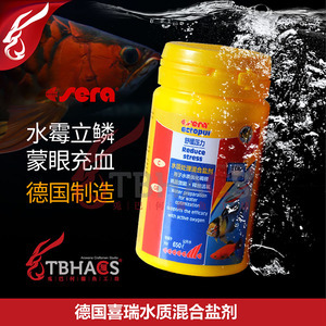 龍魚最適合混養(yǎng)的魚(龍魚最適合混養(yǎng)的魚有哪些)