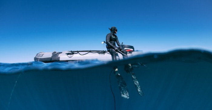 刀魚的牙齒有毒嗎圖片（刀魚的牙齒有毒嗎圖片視頻）