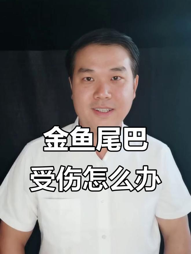 魚爛尾巴需要多久才能恢復，觀賞魚爛尾多久能長回來犬弟dm金魚尾巴爛了還能長好嗎