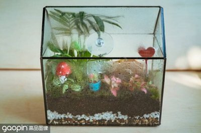 仟湖特別龍魚3號（仟湖特別龍魚3號使用方法）
